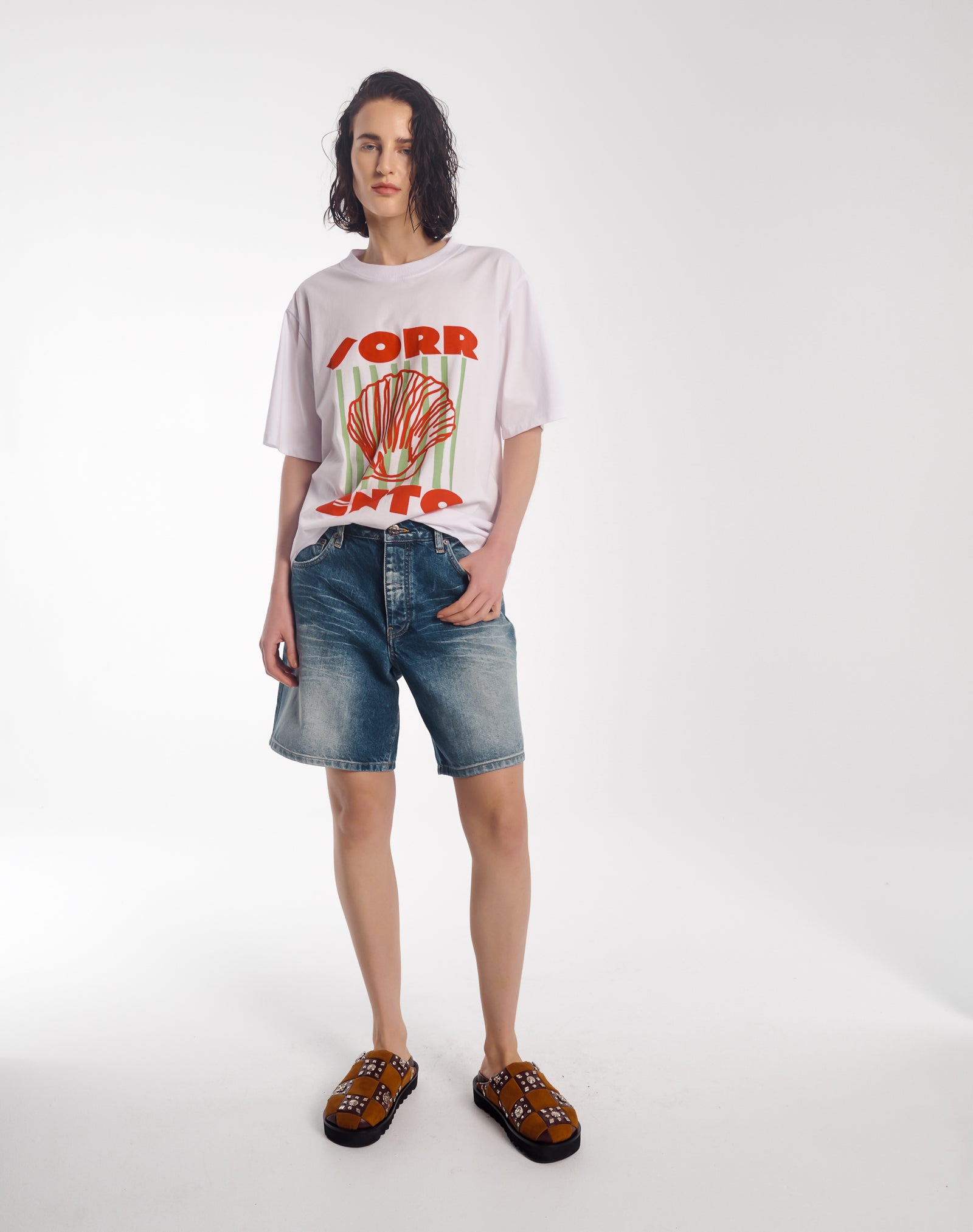 ソレントオーガニックコットンTシャツ
