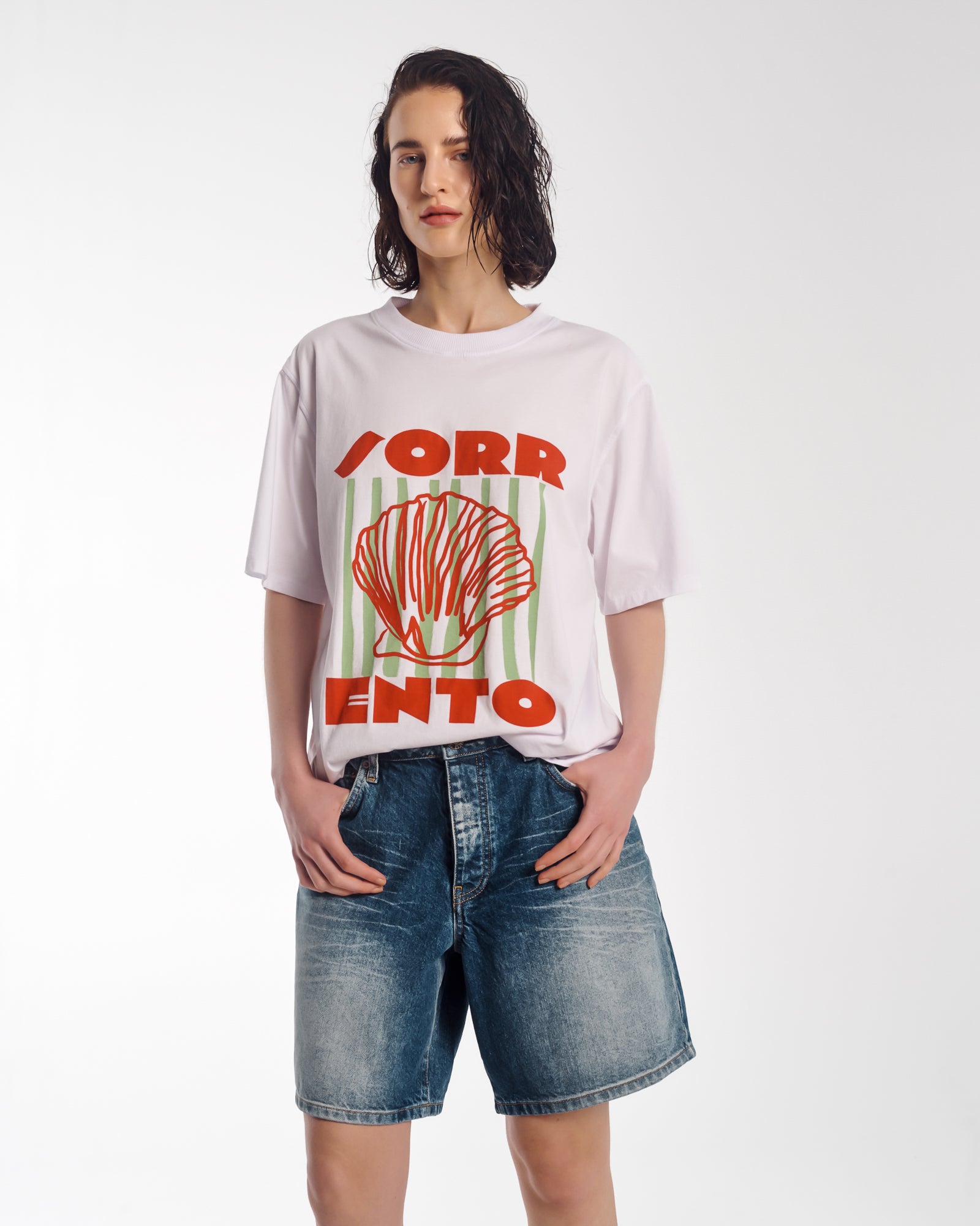 ソレントオーガニックコットンTシャツ