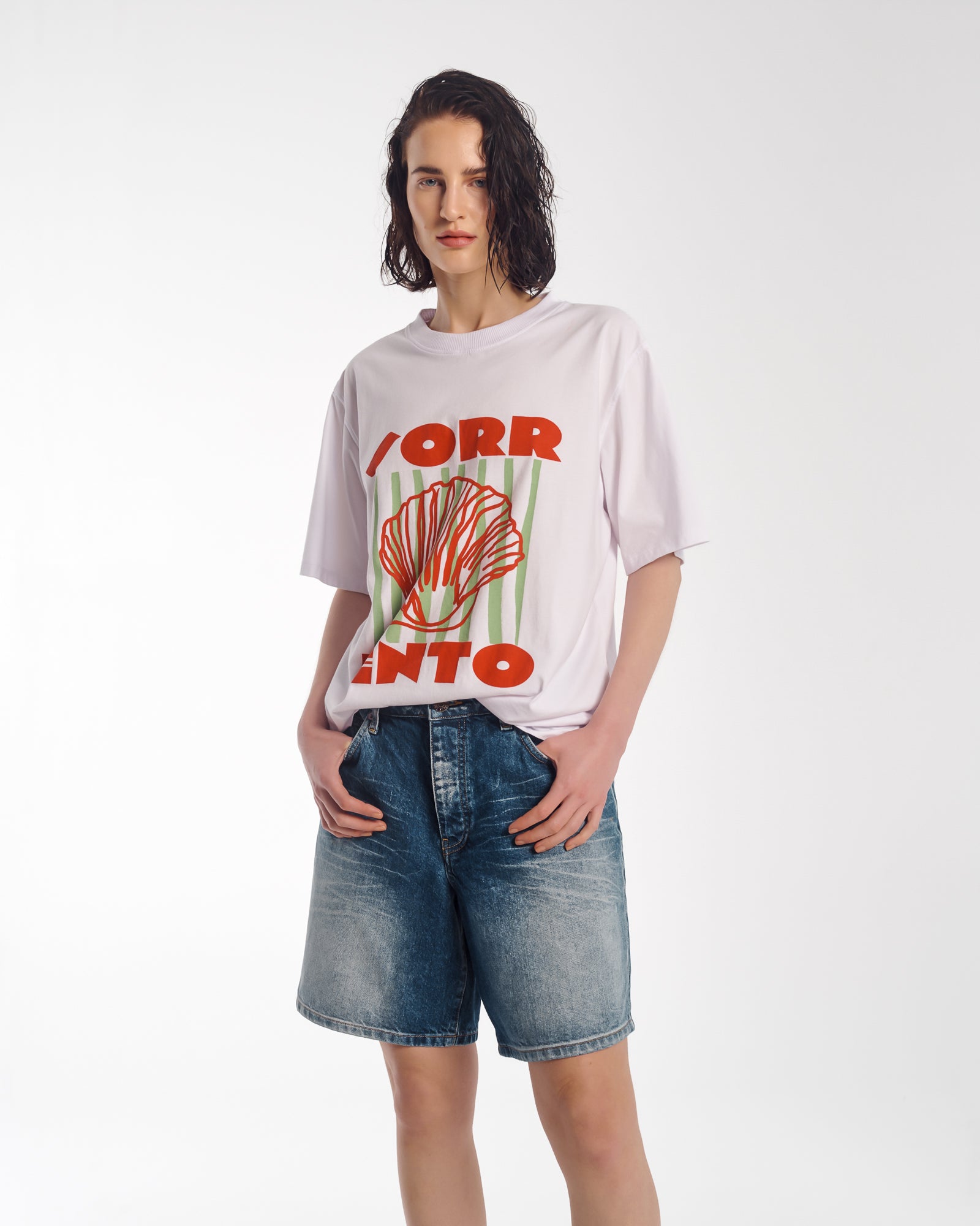 ソレントオーガニックコットンTシャツ