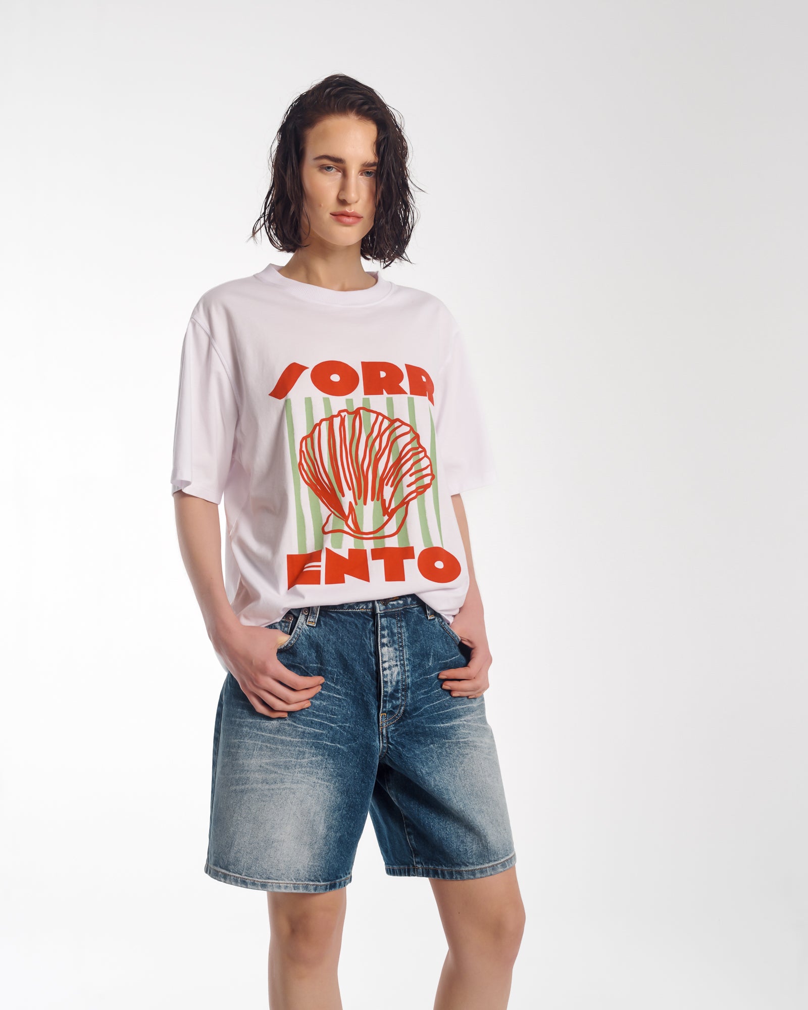 ソレントオーガニックコットンTシャツ