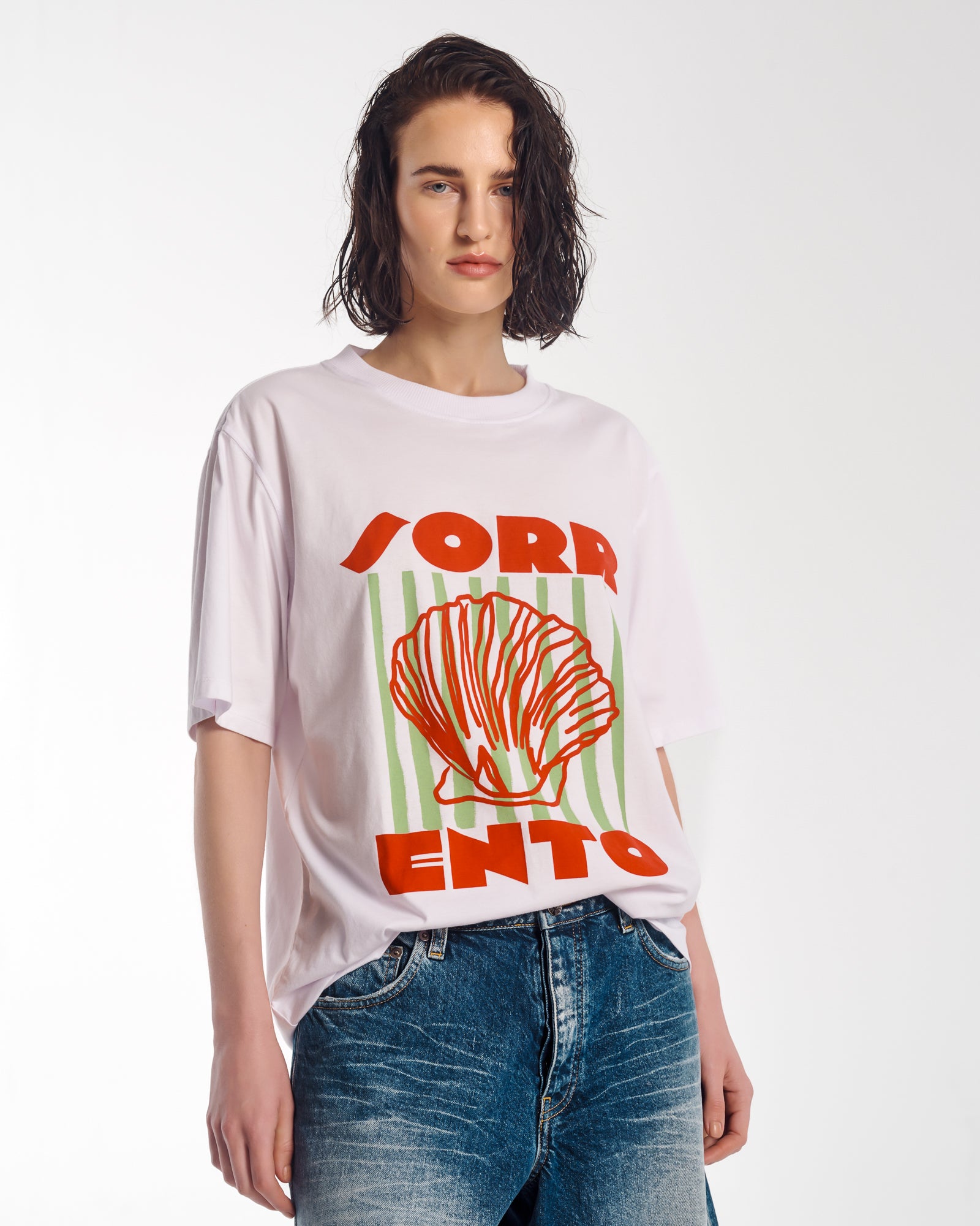 ソレントオーガニックコットンTシャツ