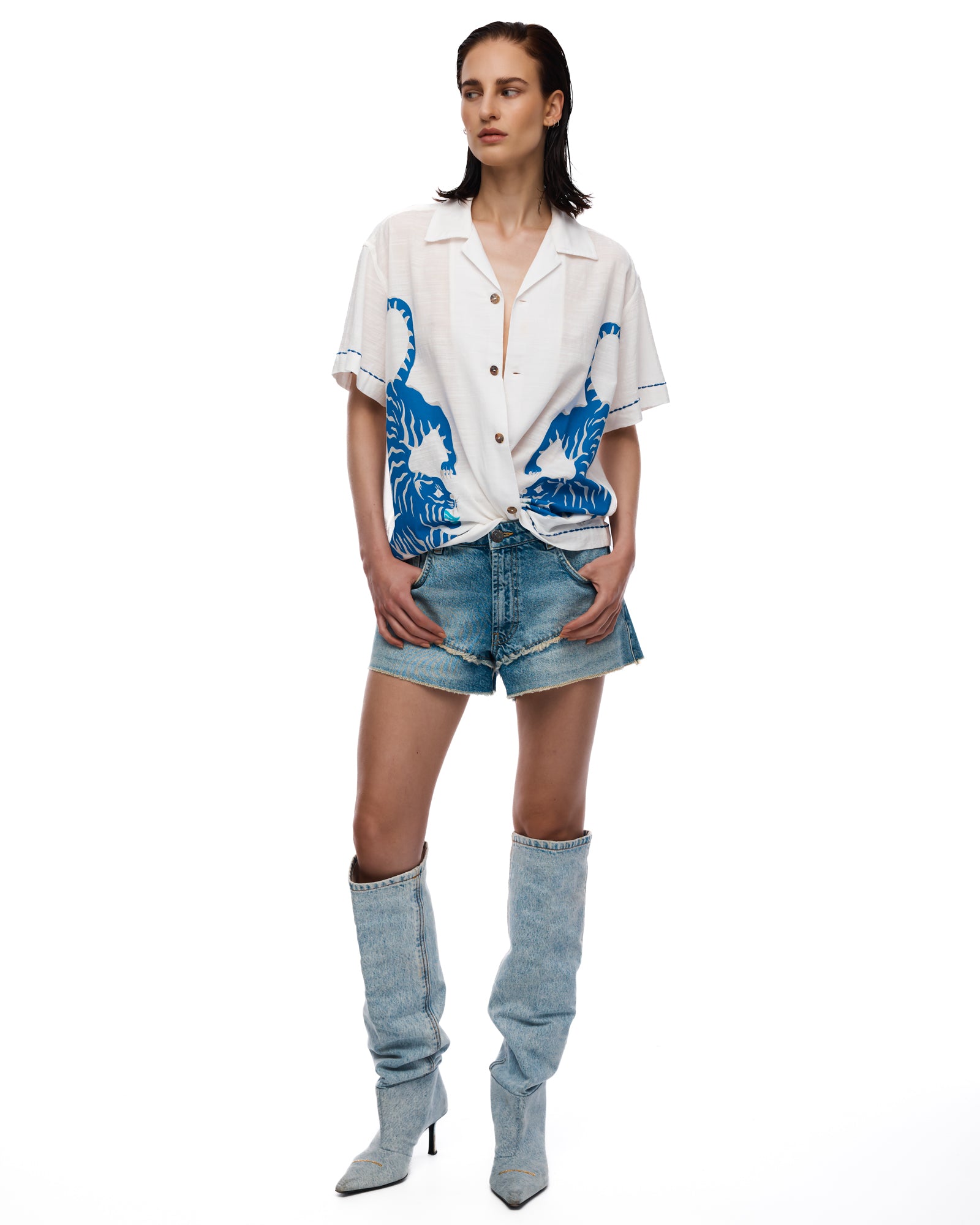 Crouching Tiger Shirt